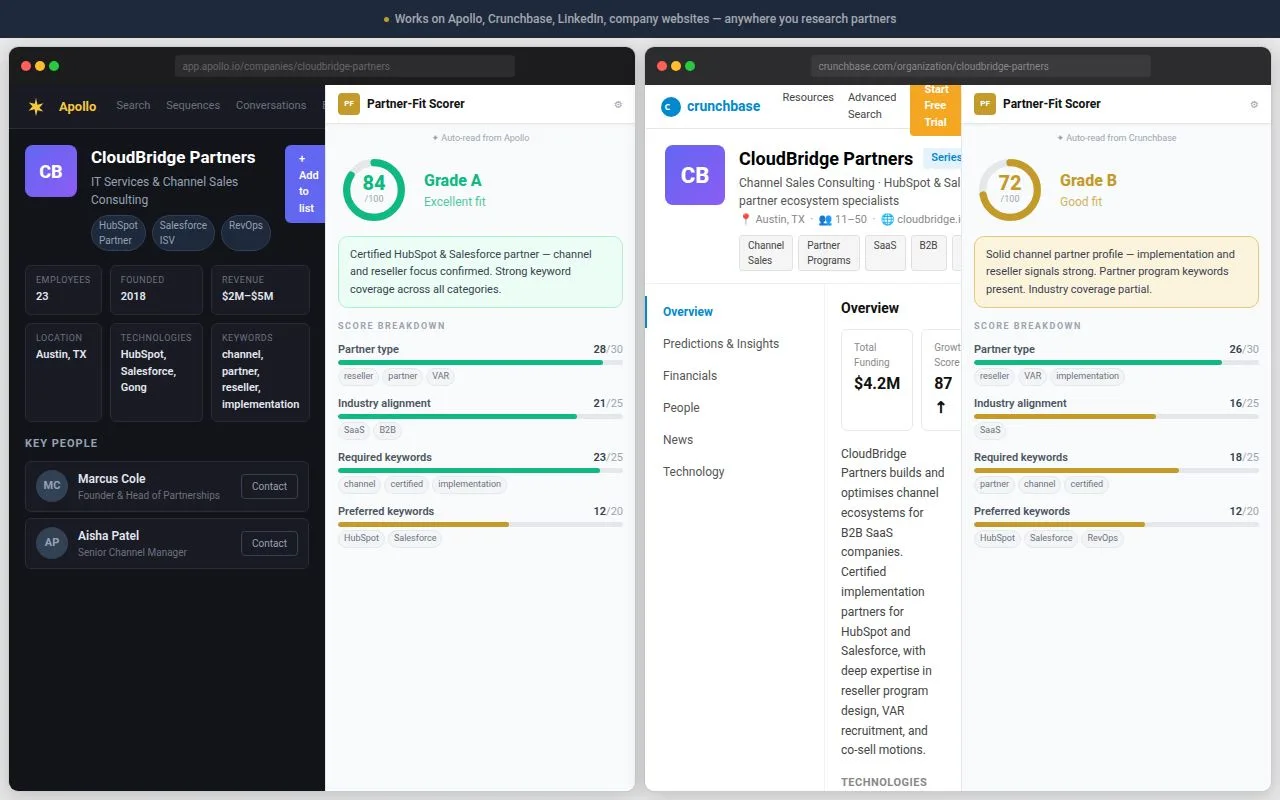 Channel Partner-Fit Scorer screenshot 1