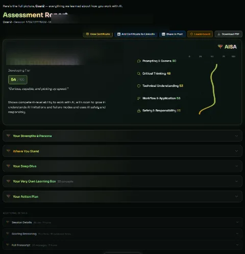 AISA (aisa.to) AI Fluency Assessment screenshot 3