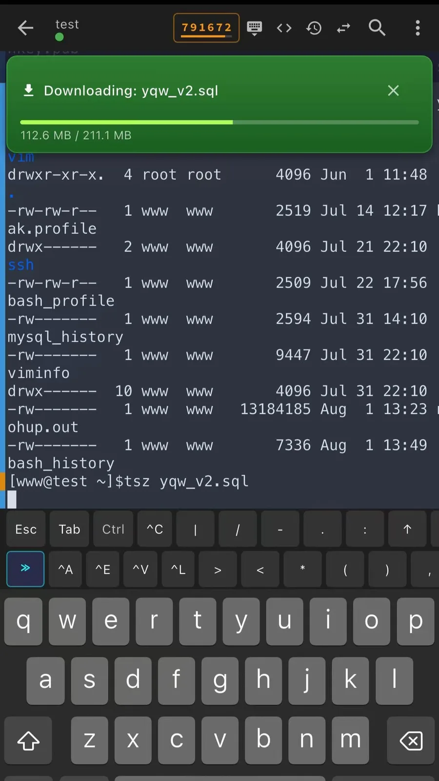 XuTerm screenshot 2