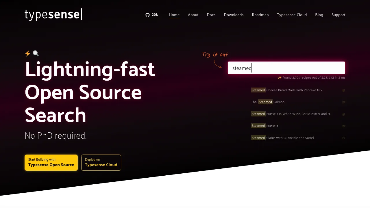 Typesense screenshot 1